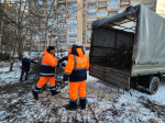 В Протвине на Ленина очистили лес от валежника