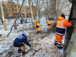 В Протвине на Ленина очистили лес от валежника
