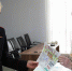 Конкурс детских рисунков «Полицейский дядя Степа» стартовал в Протвине - Regions.Ru
