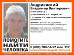 Фото: ДПСО «Лиза Алерт»